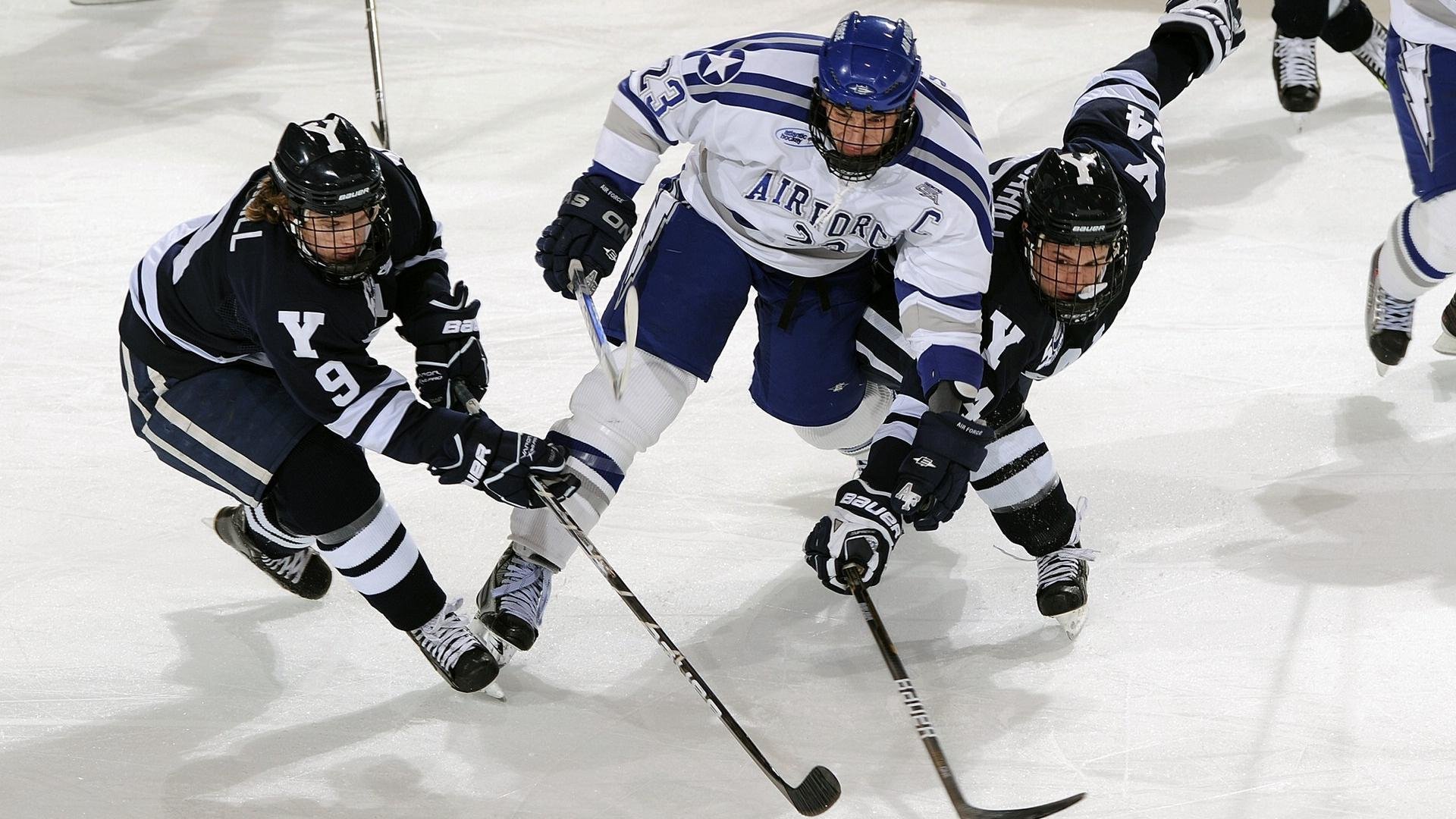 黄蜂队战术执行力提升明显,黄蜂队全称