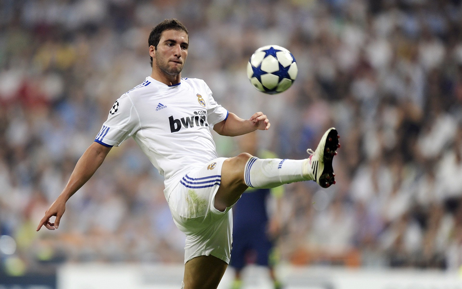 法国主场作战未能晋级，球迷情绪复杂，法国队客场